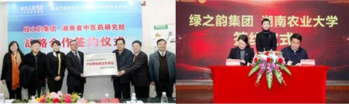 绿之韵集团获评2020年“湖南省小巨人企业”