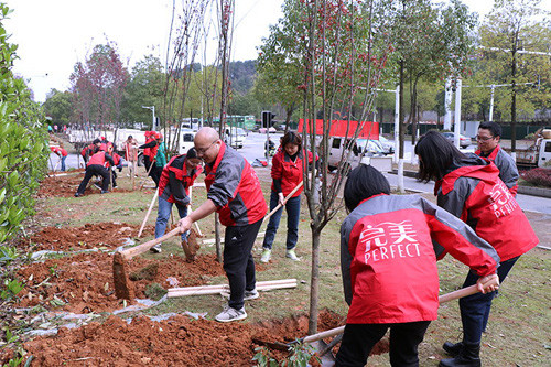 完美湖南分公司志愿者参加义务植树活动