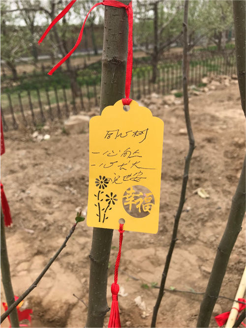 “绿色成长力量，安然与社会共成长（北京站）”植树节活动成功举办！第6张