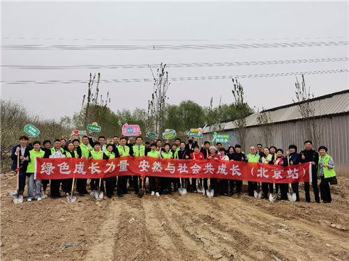 “绿色成长力量，安然与社会共成长（北京站）”植树节活动成功举办！第12张