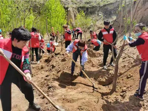 无限极（中国）内蒙古分公司党支部开展公益植树党日活动