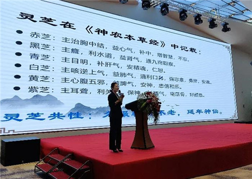 2021“健康中国 安惠在行动”杭州站报告会举行(图3)