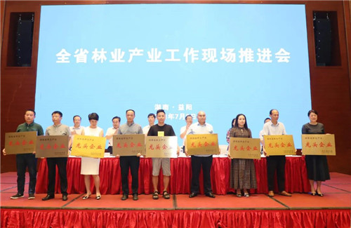 绿之韵集团荣获“湖南省林业产业化龙头企业”称号(图2)