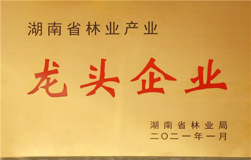 绿之韵集团荣获“湖南省林业产业化龙头企业”称号(图10)