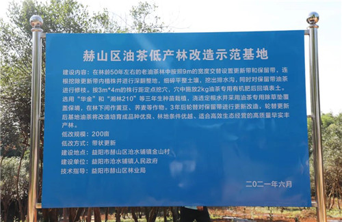 绿之韵集团荣获“湖南省林业产业化龙头企业”称号(图11)