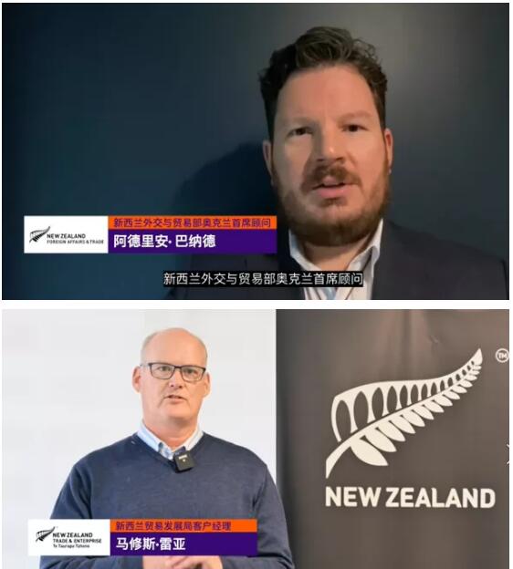 新西兰Kiwiso横空出世！中外媒体争相道，B站、头条、知乎、搜狐等百家媒体纷纷打call应援(图5)