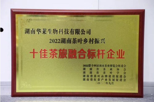 第14届湖南茶业博览会 湖南理想华莱荣获“十佳茶旅融合标杆企业”奖(图4)