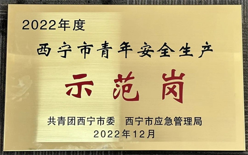喜报！祝贺金诃藏药质量管理部QC团队喜获西宁市青年安全生产示范岗(图1)