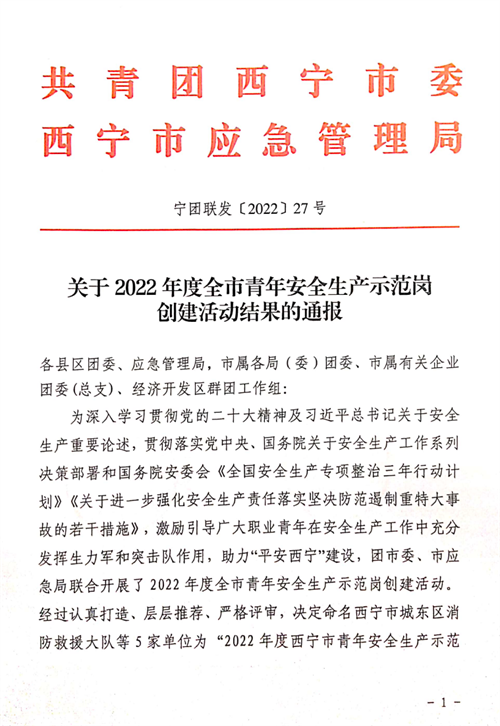 喜报！祝贺金诃藏药质量管理部QC团队喜获西宁市青年安全生产示范岗(图2)