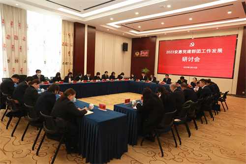 安惠公司召开2023党建群团工作发展研讨会