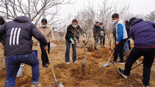 双迪党支部在“党员初心林”组织开展植树活动(图2)